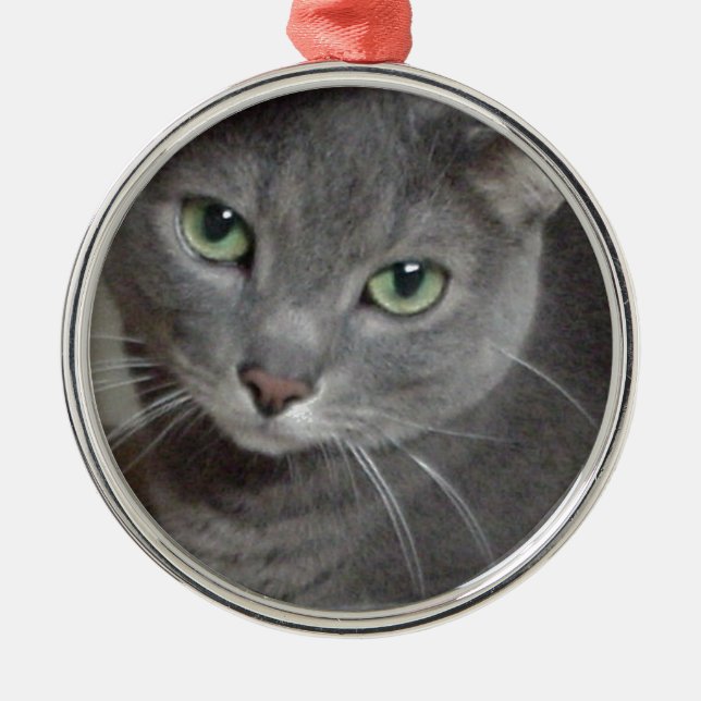 Ornamento De Metal Gato de Cinza Azul Russo (Frente)