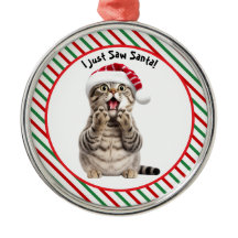 Gato de Natal Bonito, Engraçado, Gatinho Papai noe
