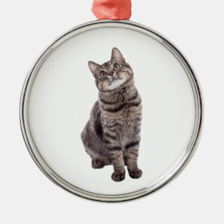 Ornamento De Metal Gato de Tabby