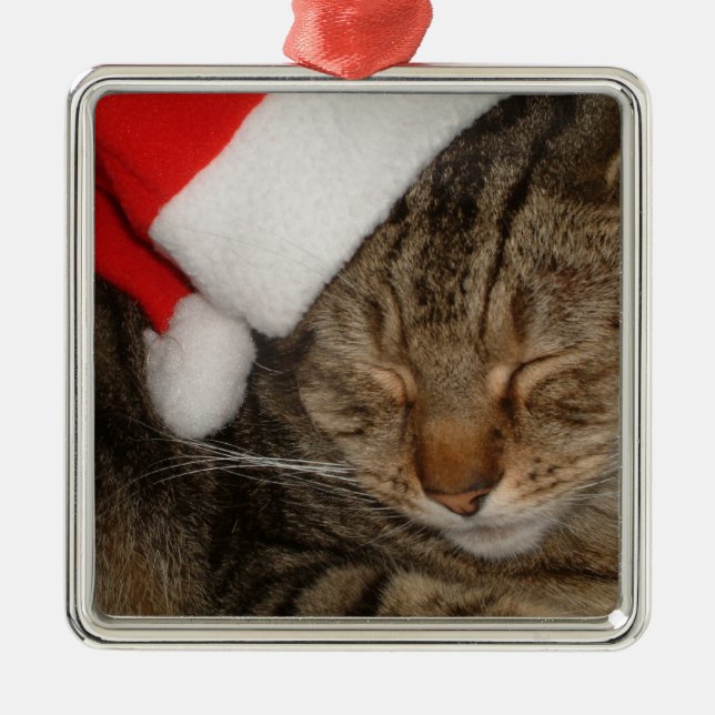 Ornamento De Metal Gato do Natal (Frente)