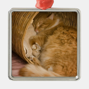 Ornamento De Metal Gato laranja listrado dormindo na cesta