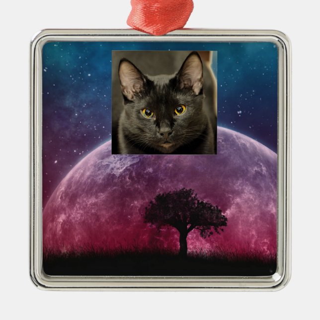 Ornamento De Metal Gato Negro (Frente)