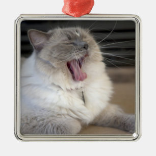 Ornamento De Metal gato Neva Masquerade bocejando