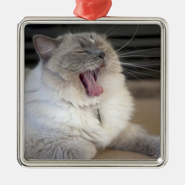 Ornamento De Metal gato Neva Masquerade bocejando (Frente)