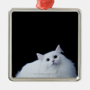 Ornamento De Metal Gato Siberian