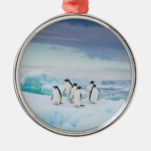 Ornamento De Metal Gelo e neve Pinguins de adenda Antártica