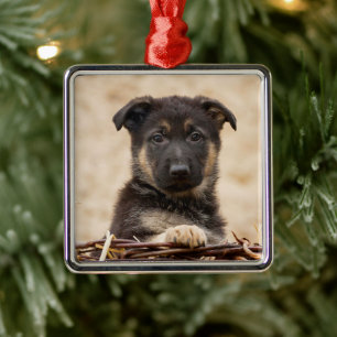 Ornamento De Metal German shepherd Em Cesta