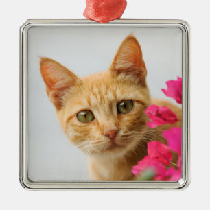 Ornamento De Metal Ginger Cat Kitten está a ver-te fotografia -