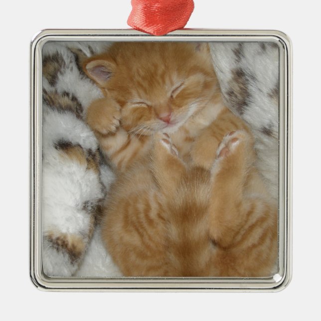 Ornamento De Metal Ginger Ginger Ginger Sleting Kitten Super Bonito (Frente)