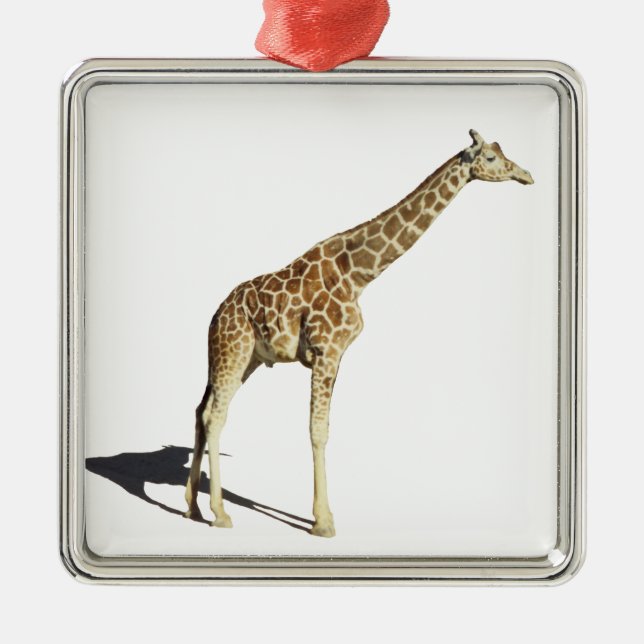 Ornamento De Metal Girafa (Frente)
