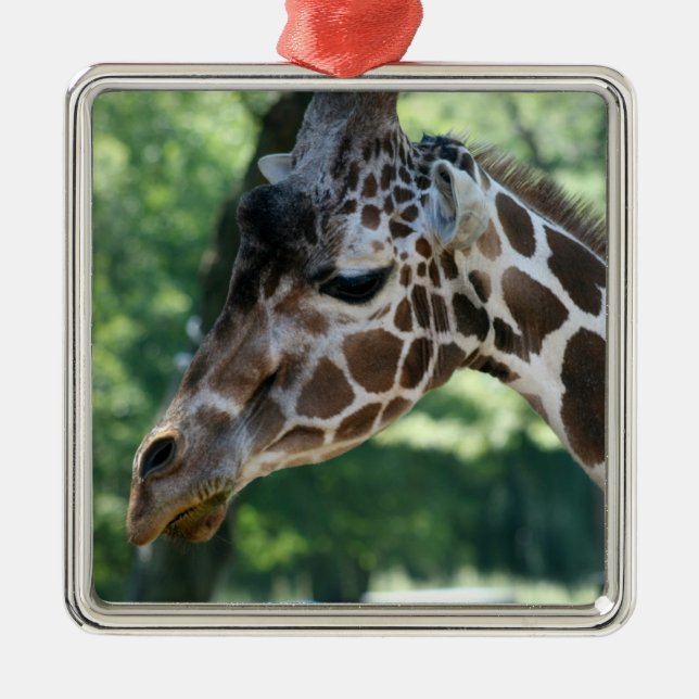 Ornamento De Metal Giraffe Ornament (Frente)