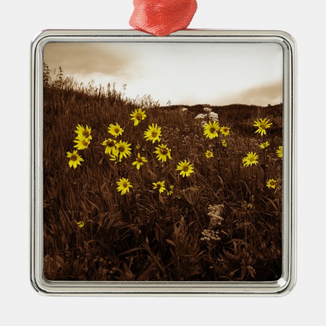 Ornamento De Metal Girassóis (Frente)