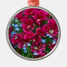 Godetia E Lobelia Gifts