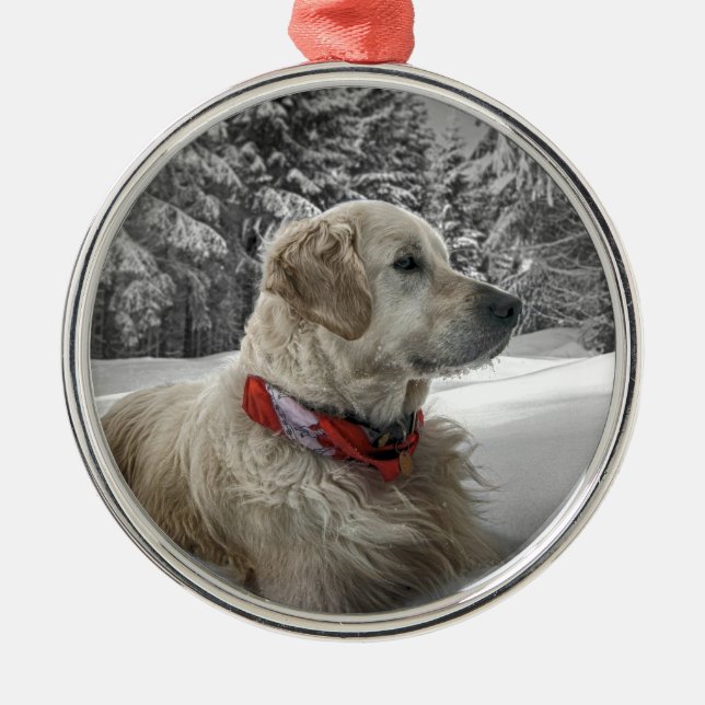 Ornamento De Metal Golden retriever bonito na neve (Frente)