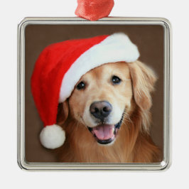 Ornamento De Metal Golden retriever com chapéu do papai noel