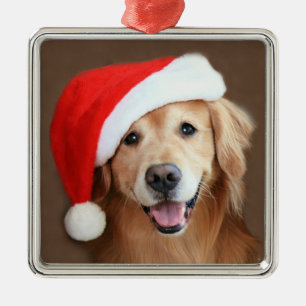 Ornamento De Metal Golden retriever com chapéu do papai noel