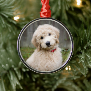 Ornamento De Metal Goldendoodle Puppy Senta-Se Em Grama