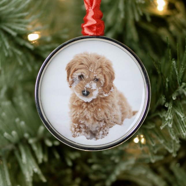 Ornamento De Metal Goldendoododle Puppy Com Neve Virada (Árvore)