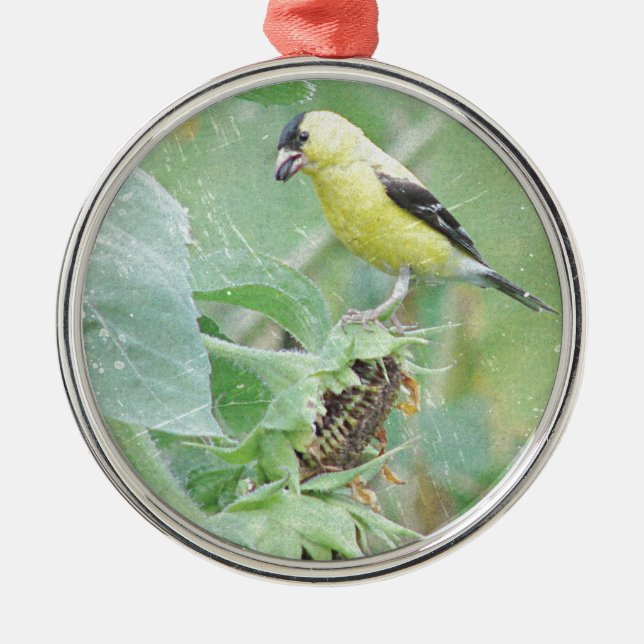 Ornamento De Metal Goldfinch Grunge (Frente)