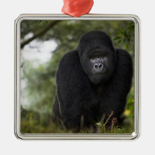 Ornamento De Metal Gorila da Montanha e Silverback