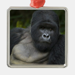 Ornamento De Metal Gorila da Montanha e Silverback