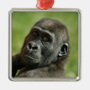 Ornamento De Metal Gorilla Youngster