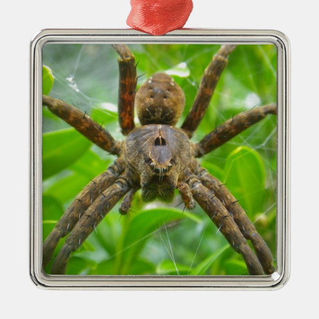 Ornamento De Metal Grande Aranha Marrom (Frente)