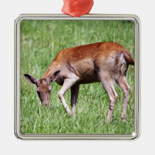 Ornamento De Metal Grazing Deer