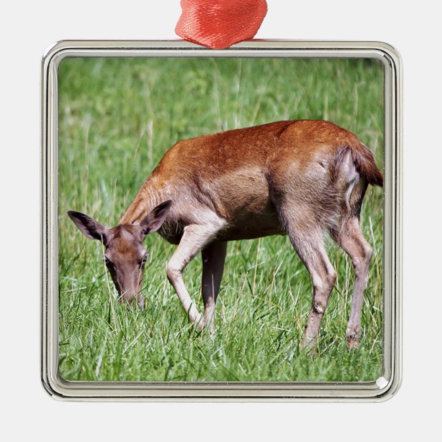 Ornamento De Metal Grazing Deer (Frente)