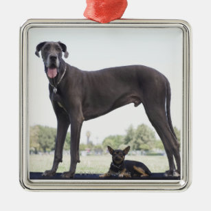 Ornamento De Metal Great dane e cão pequeno da misturado-raça