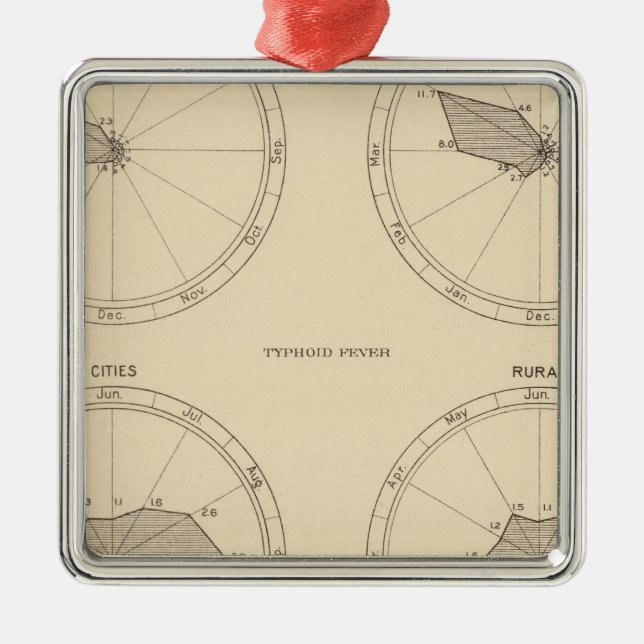 Ornamento De Metal Gripe de 117 mortes, febre tifóide 1900, 1890 (Frente)