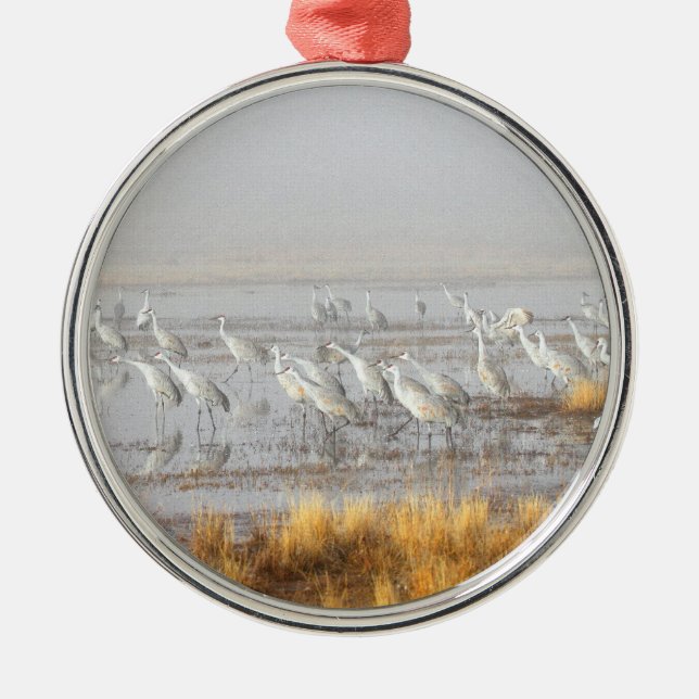 Ornamento De Metal Gruas-da-areia Nebulosas (Frente)