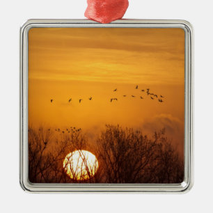 Ornamento De Metal Gruas-da-sibéria silhuetadas contra o sol nascente