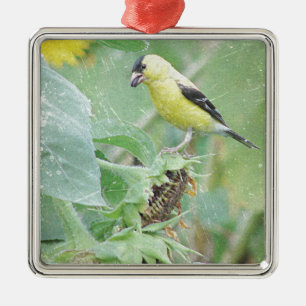 Ornamento De Metal Grunge do Goldfinch