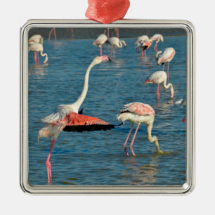 Ornamento De Metal Grupo de flamingos em Camargue