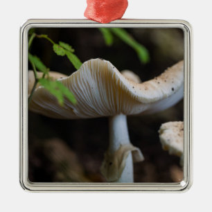 Ornamento De Metal Guarda-chuvas