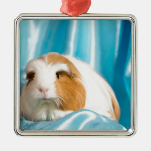 Ornamento De Metal guinea pig