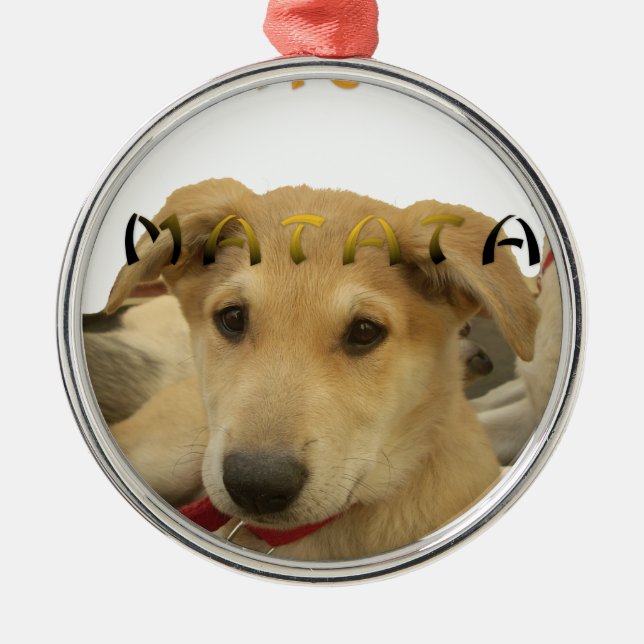 Ornamento De Metal Hakuna Matata Eu sei o que você está pensando (Frente)