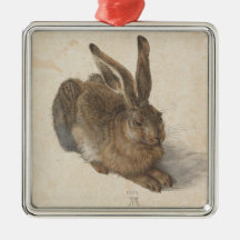 Hare (por Albrecht Dürer)