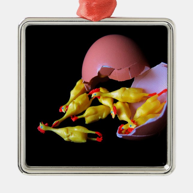 Ornamento De Metal Hatchling de borracha da galinha (Frente)