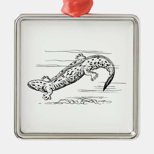 Ornamento De Metal Hellbender (Frente)