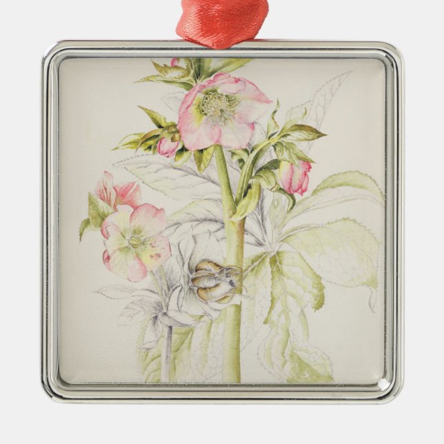Ornamento De Metal Hellebores (Frente)