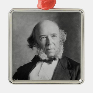 Ornamento De Metal Herbert Spencer