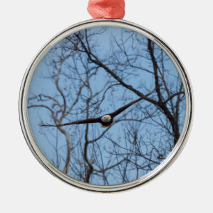 Ornamento De Metal Hetero Na Águia