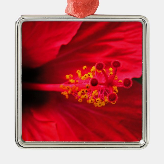 Ornamento De Metal Hibisco (Frente)