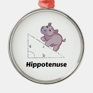 Ornamento De Metal Hippotenuse Engraçado Math