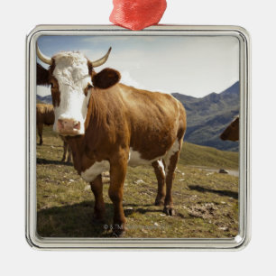Ornamento De Metal hochalpenstrasse do grossglockner, hohe tauern,