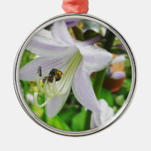 Ornamento De Metal Hosta e um inseto