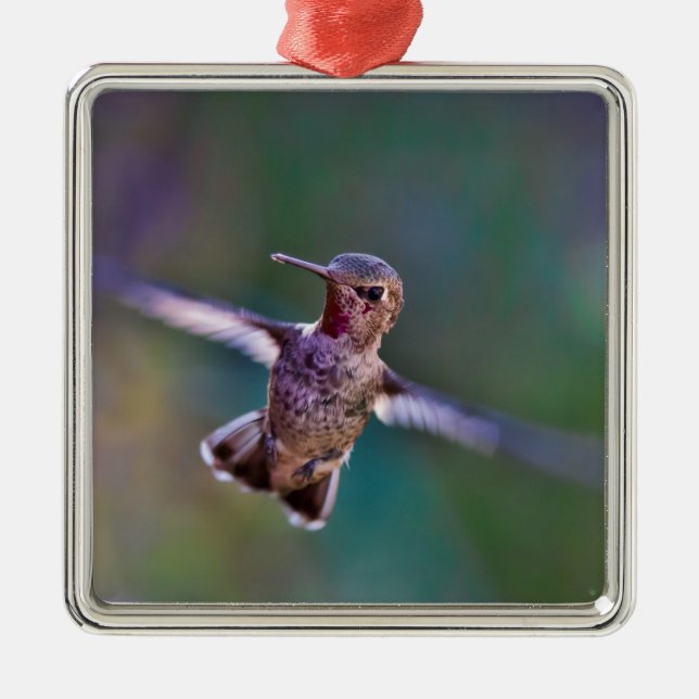 Ornamento De Metal Hummingbird (Frente)