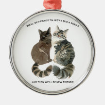 Humor envelhecido para amigos amantes de gatos mar